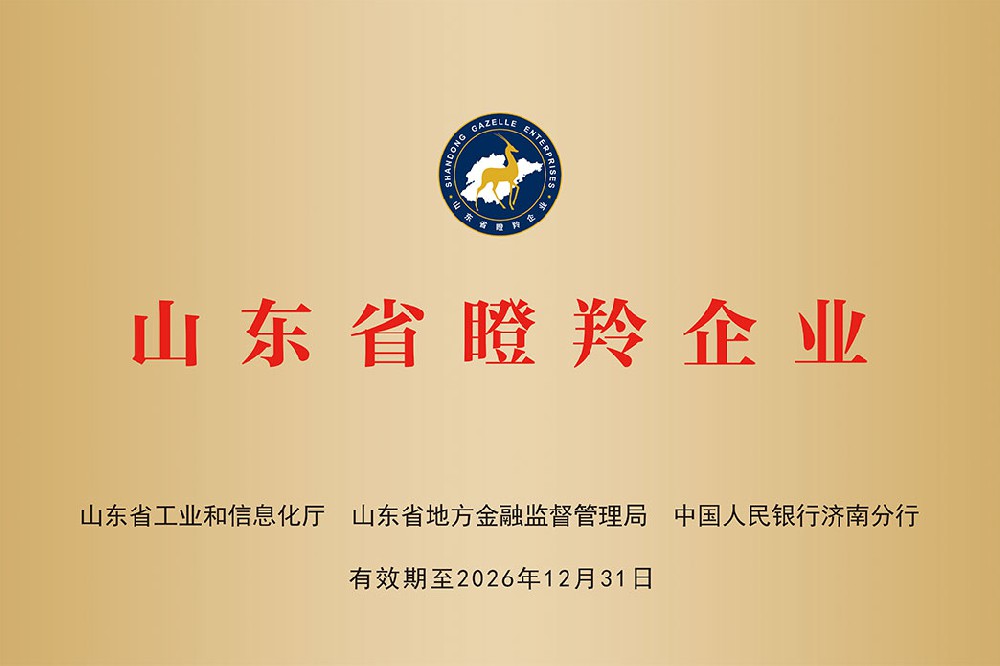 Shandong Gazelle Enterprise