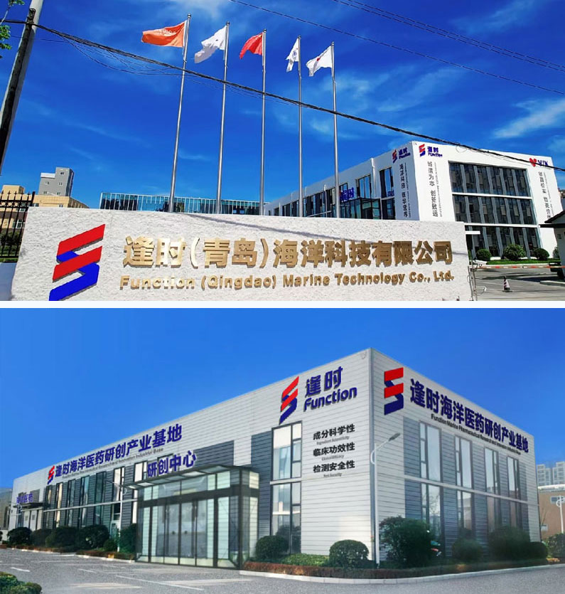 Company Profile