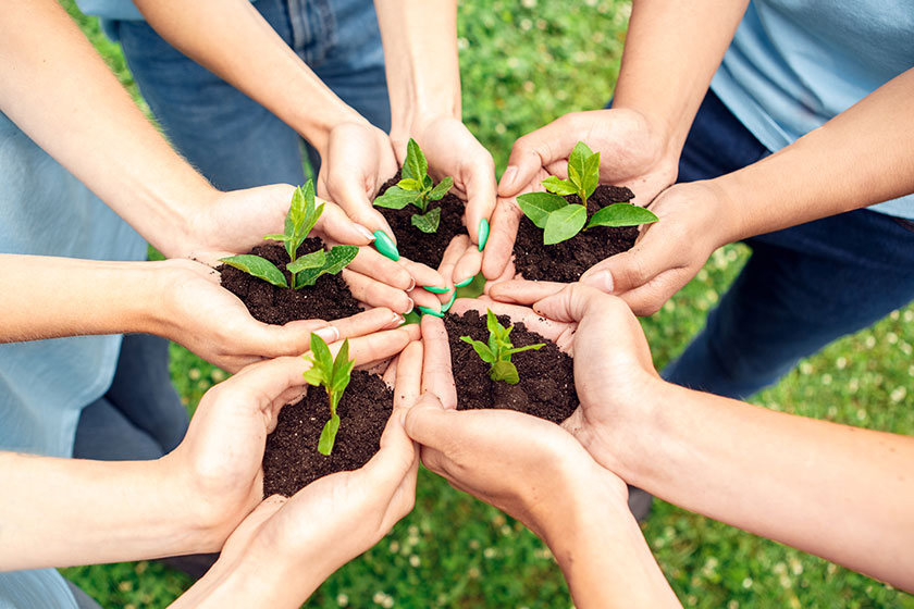 Ecological Environment Maintenance