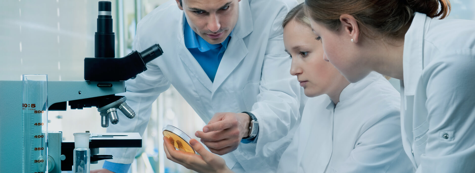 Nutrition Studies
