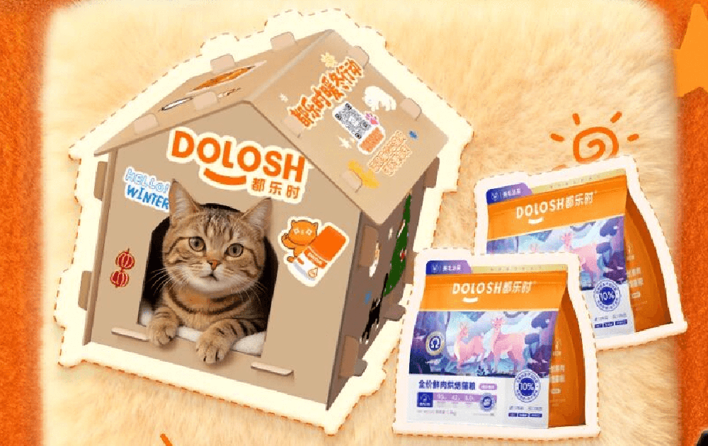 Dolosh Winter Warmth Campaign: Kindness is Passed On, Warmth is Seen