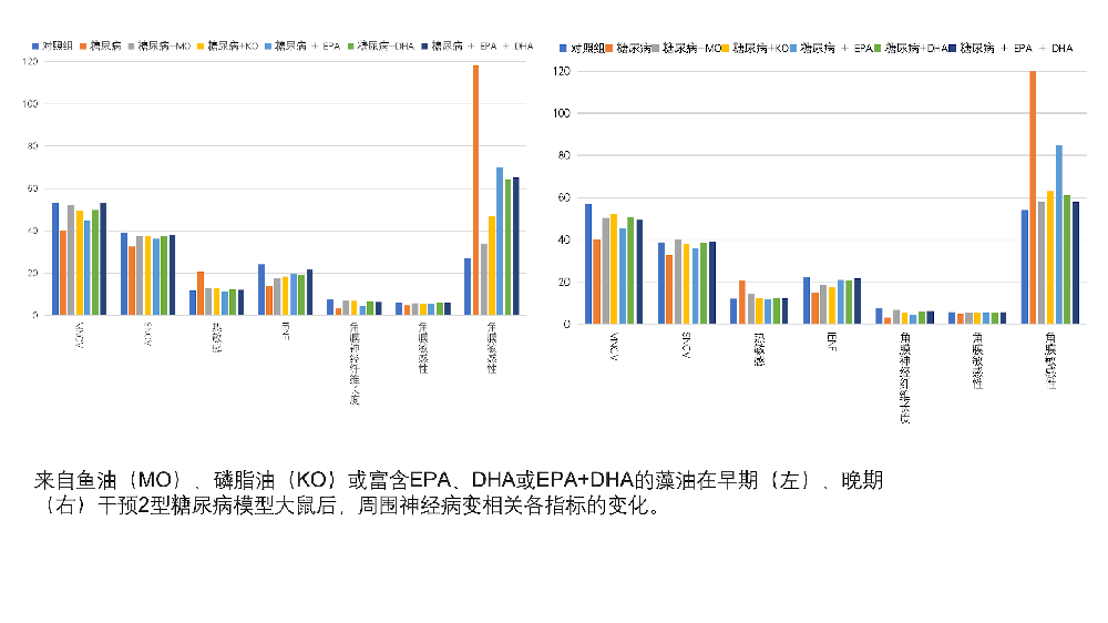 Literature Review - Comparison of Therapeutic Effects of ω-3 Polyunsaturated Fatty Acids from Different Sources on Type 2 Diabetic Peripheral Neuropathy