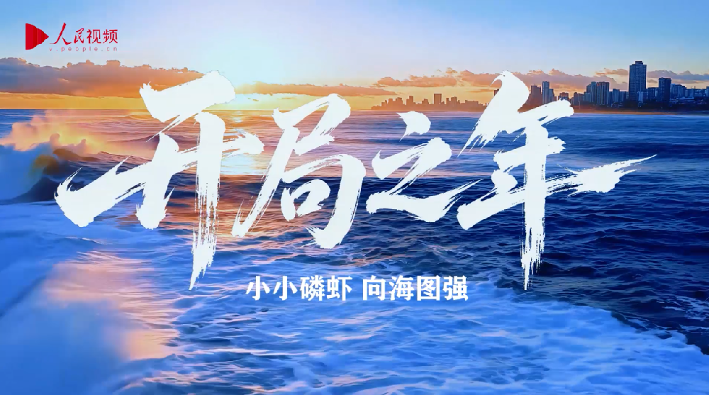 People's Video · Year of New Beginning | Tiny Krill, Forging Strength from the Sea